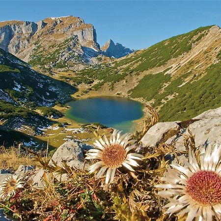 Отель Schwaiger Breitenbach am Inn Экстерьер фото