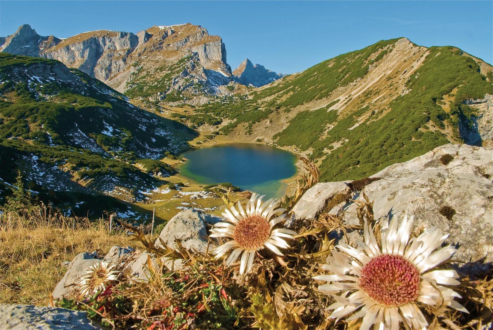 Отель Schwaiger Breitenbach am Inn Экстерьер фото